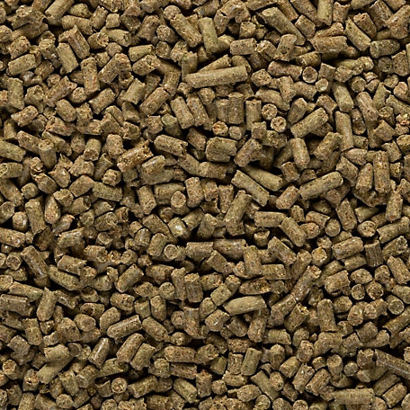 DuMOR Vitamin Gold Premium Pelleted Vitamin and Mineral Horse Supplement, 10 lb.