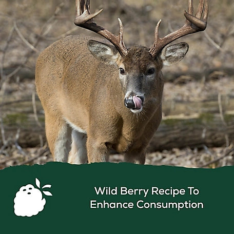 Record Rack 20 Deer Feed, 50 lb.