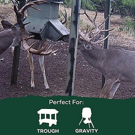 Record Rack 20 Deer Feed, 50 lb.