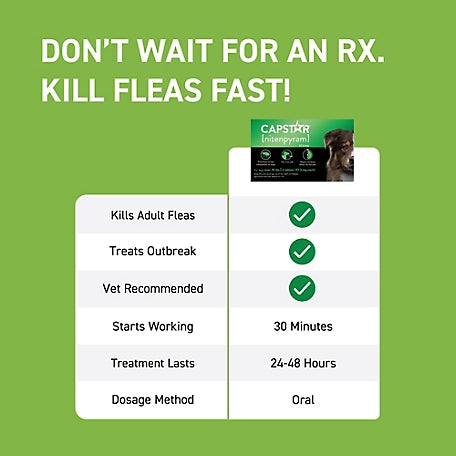 Capstar Flea Control Tablets for Dogs 25 lb. and Up, 6 ct. 4.0 (164) SKU: 146370799