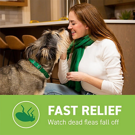 Capstar Flea Control Tablets for Dogs 25 lb. and Up, 6 ct. 4.0 (164) SKU: 146370799