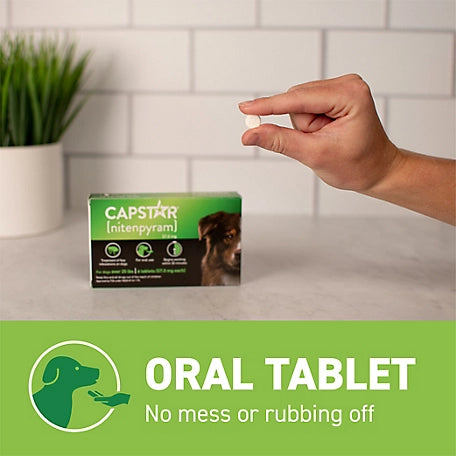 Capstar Flea Control Tablets for Dogs 25 lb. and Up, 6 ct. 4.0 (164) SKU: 146370799
