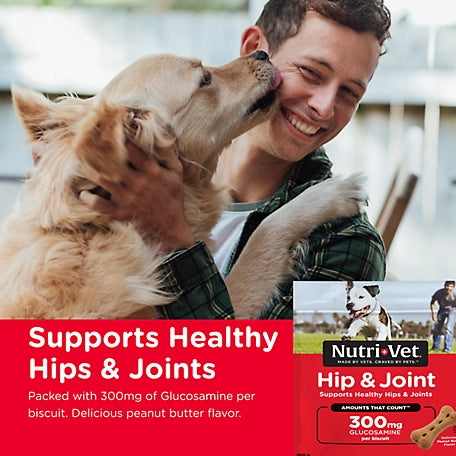 Nutri-Vet Hip and Joint Extra Strength Peanut Butter Biscuits for Large Dogs, 4 lb.