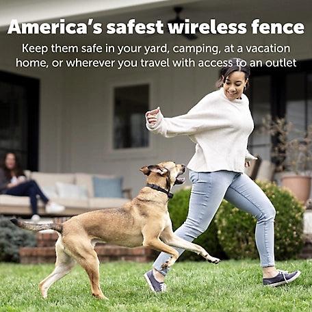 PetSafe Stay & Play Compact Wireless Dog Fence