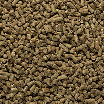 DuMOR Vitamin Gold Premium Pelleted Vitamin and Mineral Horse Supplement, 10 lb.