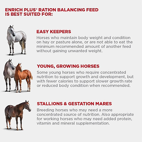 Purina Enrich Plus Ration Balancing Horse Feed, 50 lb. Bag