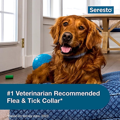 Seresto Large Dog Vet-Recommended Flea and Tick Treatment and Prevention Collar for Dogs Over 18 lb., 8 Months Protection