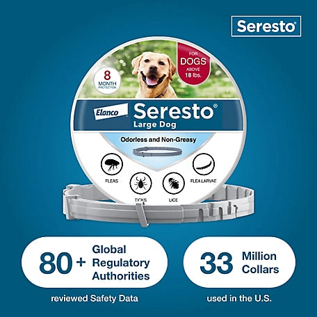 Seresto Large Dog Vet-Recommended Flea and Tick Treatment and Prevention Collar for Dogs Over 18 lb., 8 Months Protection