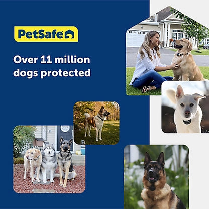 PetSafe Basic In-Ground Pet Fence System