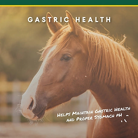 Corta-Flex U Gard Gastric Support Pellets for Horses, 10 lb.