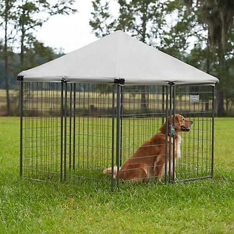 Retriever 5 ft. x 4.5 ft. x 4.5 ft. Pet Retreat Portable Dog Kennel