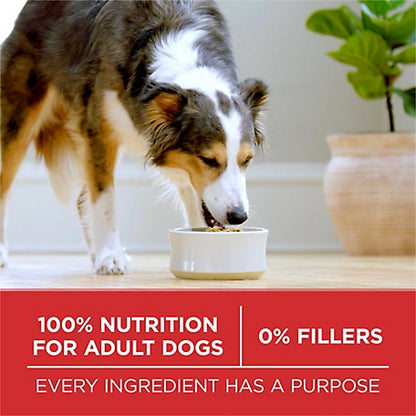 Purina ONE Small Bites Beef and Rice Formula Small High Protein Dry Dog Food