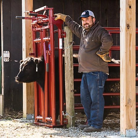 Tarter CattleMaster Series 3 Automatic Headgate for Cattle Up to 1,200 lb., 19-1/2 in. x 41 in. x 72 in., Red, 223 lb.