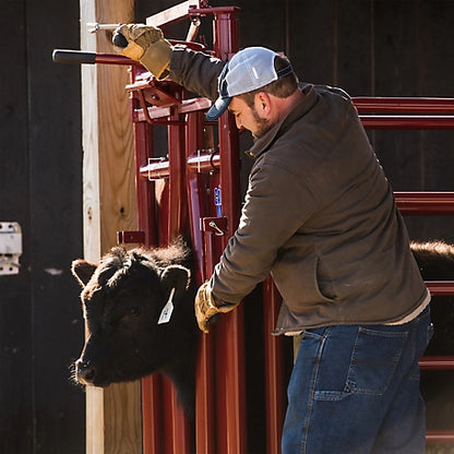 Tarter CattleMaster Series 3 Automatic Headgate for Cattle Up to 1,200 lb., 19-1/2 in. x 41 in. x 72 in., Red, 223 lb.