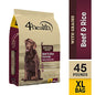 4health with Wholesome Grains Adult Beef and Rice Formula Dry Dog Food