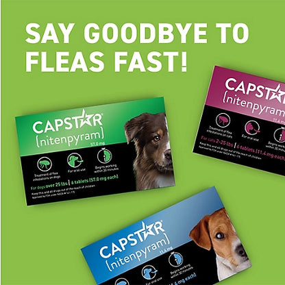 Capstar Flea Control Tablets for Dogs 25 lb. and Up, 6 ct.  4.0 (164) SKU: 146370799