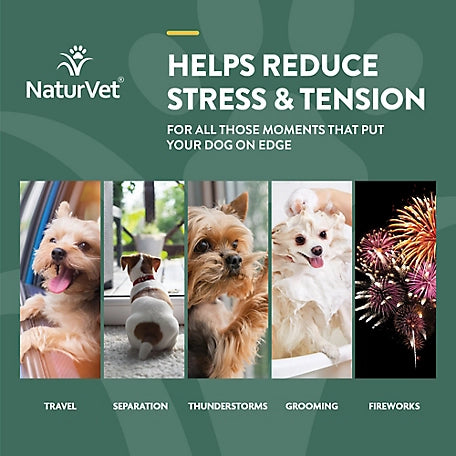 NaturVet Hemp Quiet Moments Plus Hemp Seed Soft Chew Calming Supplement Treats for Dogs, 60 ct.