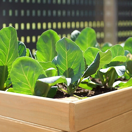 Veikous Large Wooden Raised Garden Bed with Funnel Design and Liner, Natural