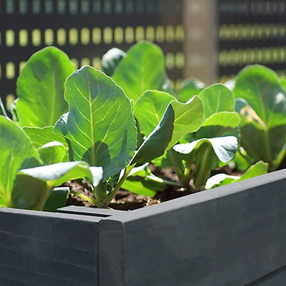 Veikous Large Wooden Raised Garden Bed with Funnel Design and Liner, Gray