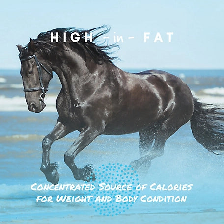 Start to Finish Cool Calories 100 Dry Fat Horse Supplement, 8 lb.