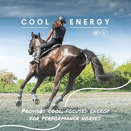 Start to Finish Cool Calories 100 Dry Fat Horse Supplement, 8 lb.