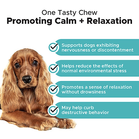 Pet Honesty Hemp Calming Chicken Flavor Soft Chews Dog Supplements