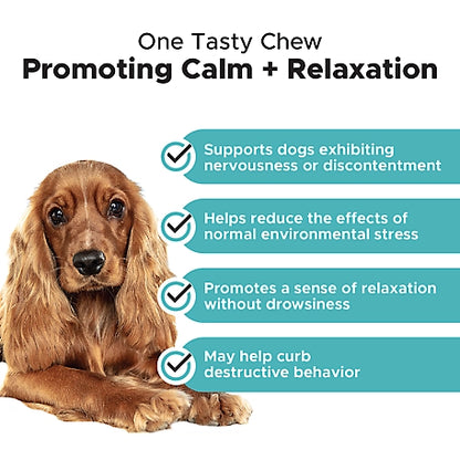 Pet Honesty Hemp Calming Chicken Flavor Soft Chews Dog Supplements