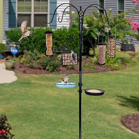 Ashman Deluxe Premium Bird Feeding Station with 4 Multiple Hooks and 4 Bird Feeders Hanging Kit for Attracting Wild Birds