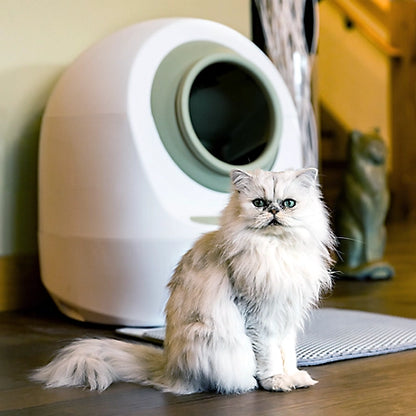 Casa Leo Leo's Loo Too - Smart Self-Cleaning Cat Litter Box