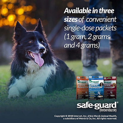 Merck Safe-Guard Canine Dewormer for Puppies and Dogs, 2g