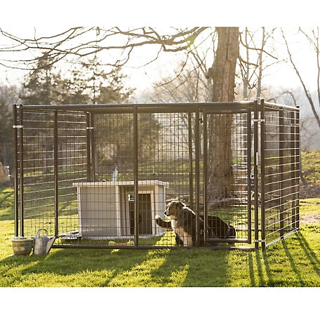 Tarter 10 ft. x 10 ft. x 6 ft. Elite Heavy-Duty Welded Wire Dog Kennel