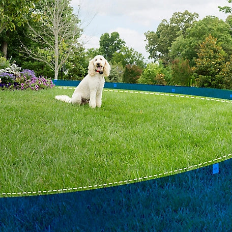 PetSafe Wireless Fence Pet Containment System, Covers up to 1/2 Acre