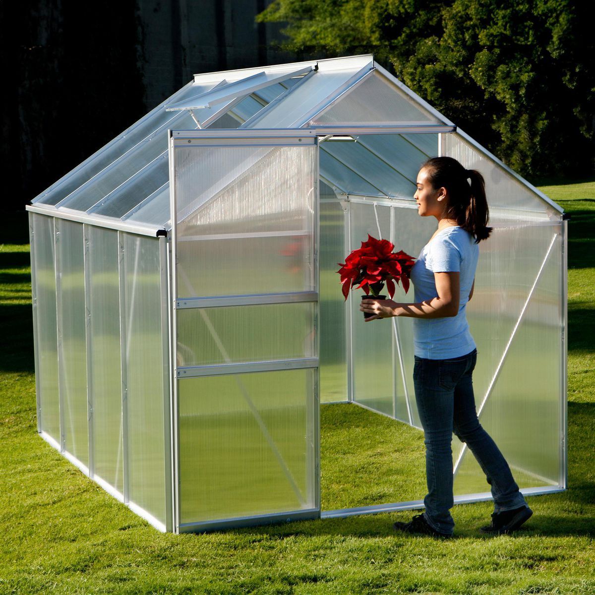 ONE STOP GARDENS 6 ft. x 8 ft. Greenhouse