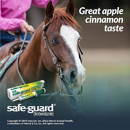 Merck Safe-Guard Horse Dewormer Paste, 25g