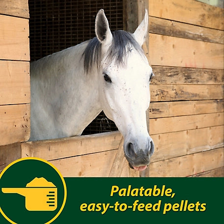 Farnam Horseshoer's Secret Pelleted Hoof Supplement, 13.75 lb.