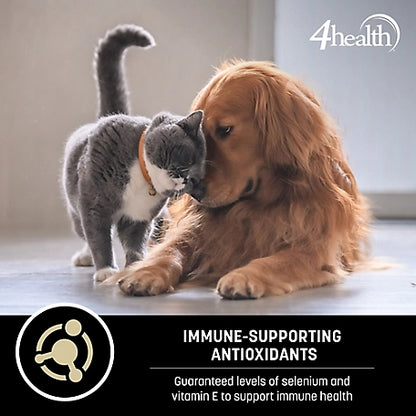 4health with Wholesome Grains Small Bites Adult Chicken Formula Dry Dog Food