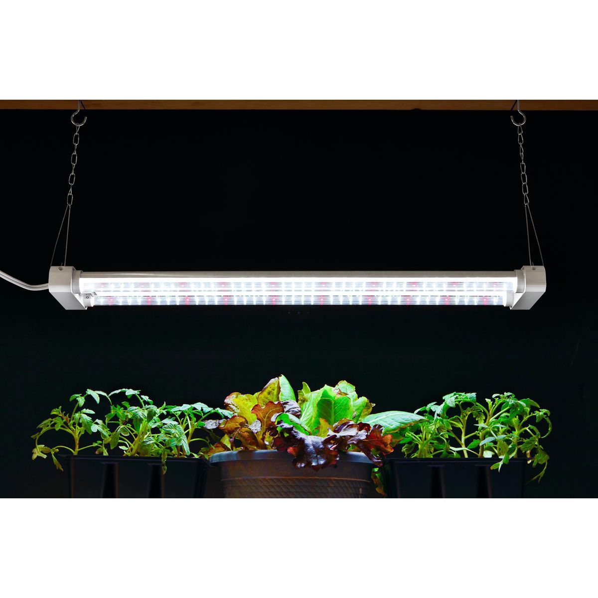 LUMINAR EVERYDAY 19 Watt, 2 ft. Linkable Two-Light Full Spectrum LED Plant Grow Light