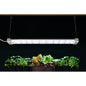 LUMINAR EVERYDAY 19 Watt, 2 ft. Linkable Two-Light Full Spectrum LED Plant Grow Light