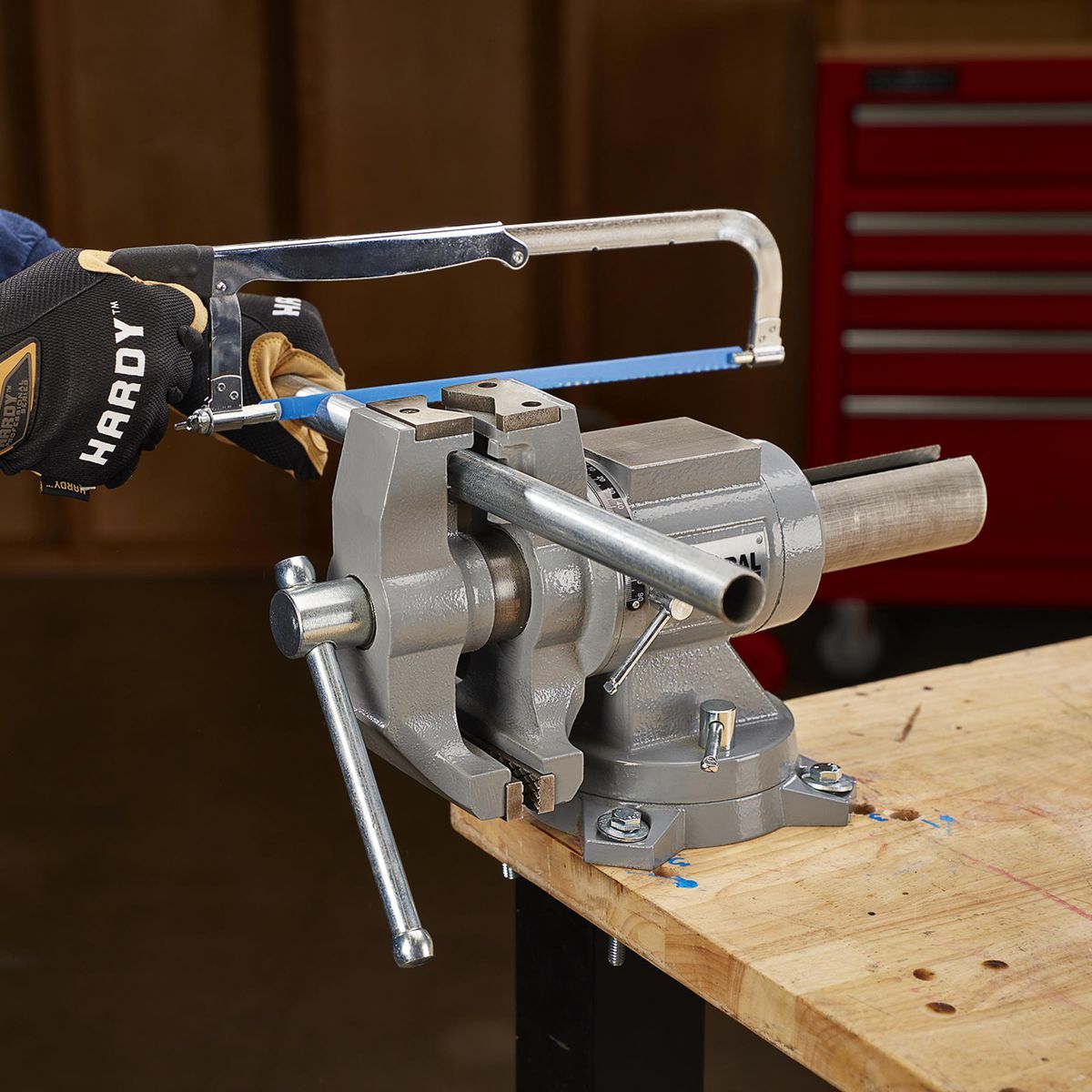 CENTRAL MACHINERY 5 in. Multi-Purpose Vise with Anvil