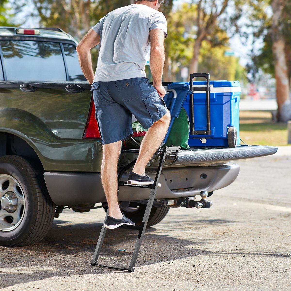 HAUL-MASTER 300 lb. Capacity Truck Bed Tailgate Ladder