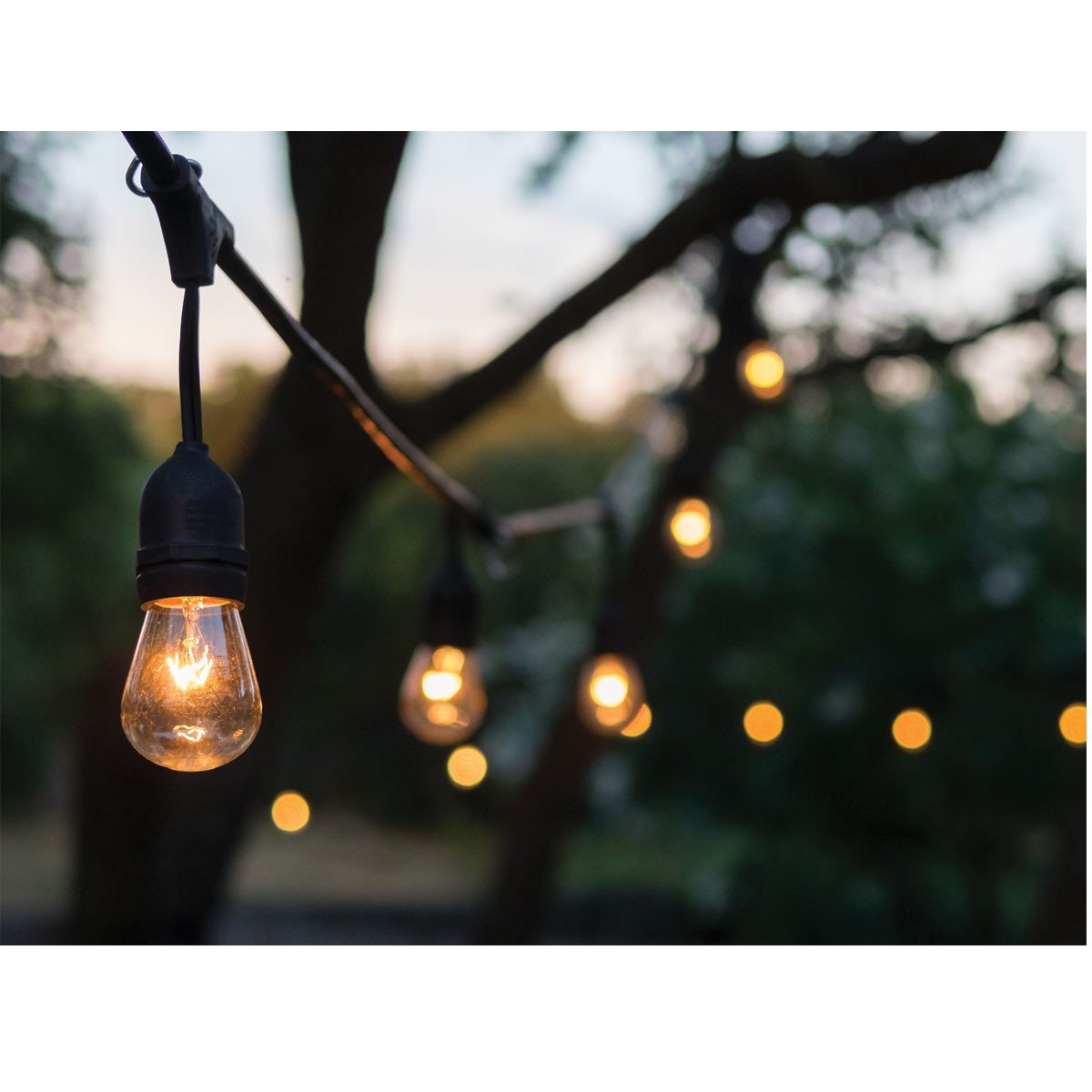 Outdoor String Lights by Luminar