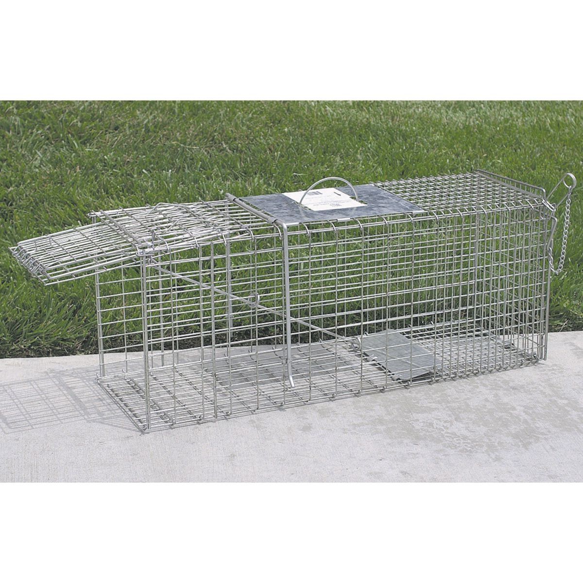 32 in. x 15 in. x 10 in. Medium Animal Trap