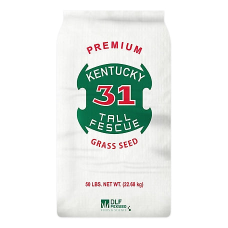 DLF 50 lb. Kentucky-31 Tall Fescue Grass Seed